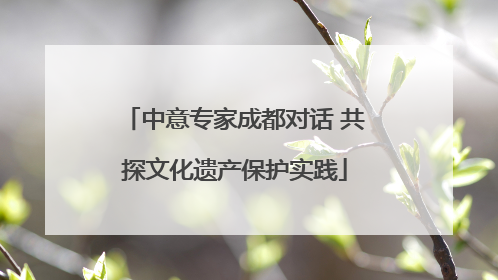 中意专家成都对话 共探文化遗产保护实践