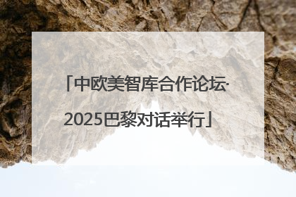 中欧美智库合作论坛·2025巴黎对话举行