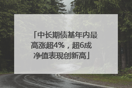 中长期债基年内最高涨超4%，超6成净值表现创新高