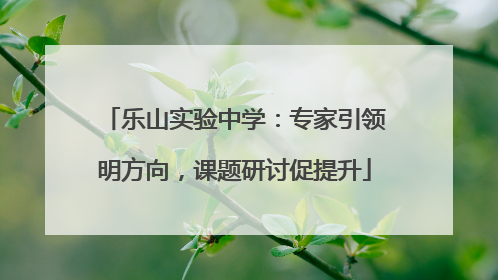 乐山实验中学：专家引领明方向，课题研讨促提升