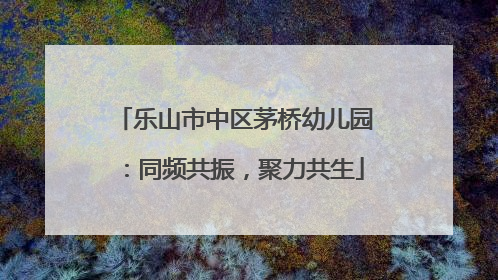 乐山市中区茅桥幼儿园：同频共振，聚力共生