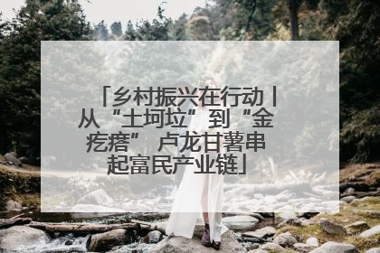乡村振兴在行动丨从“土坷垃”到“金疙瘩” 卢龙甘薯串起富民产业链