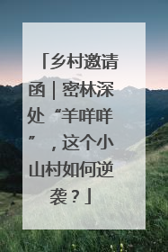 乡村邀请函｜密林深处“羊咩咩”，这个小山村如何逆袭？