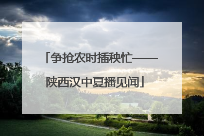 争抢农时插秧忙——陕西汉中夏播见闻