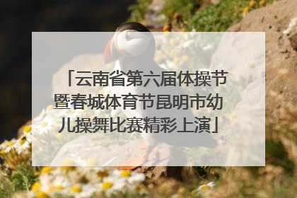 云南省第六届体操节暨春城体育节昆明市幼儿操舞比赛精彩上演