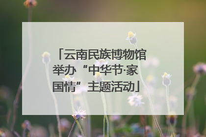 云南民族博物馆举办“中华节·家国情”主题活动