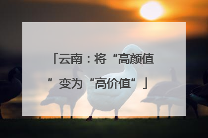 云南：将“高颜值”变为“高价值”