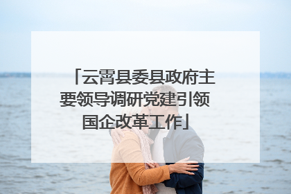 云霄县委县政府主要领导调研党建引领国企改革工作
