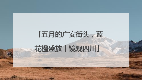 五月的广安街头，蓝花楹盛放丨镜观四川
