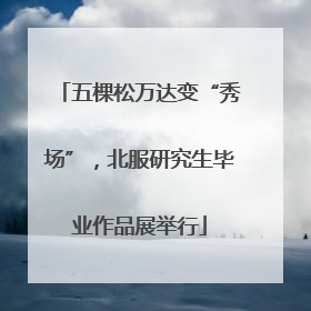 五棵松万达变“秀场”，北服研究生毕业作品展举行