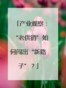 产业观察：“老供销”如何闯出“新路子”？