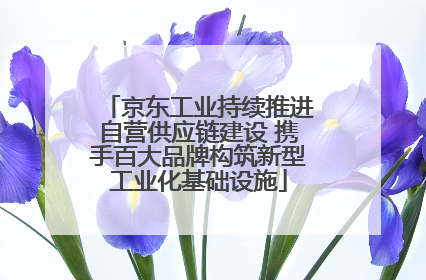 京东工业持续推进自营供应链建设 携手百大品牌构筑新型工业化基础设施