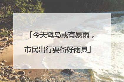 今天鹭岛或有暴雨，市民出行要备好雨具