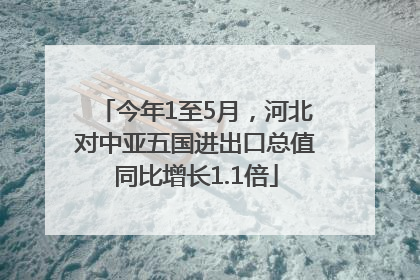 今年1至5月，河北对中亚五国进出口总值同比增长1.1倍
