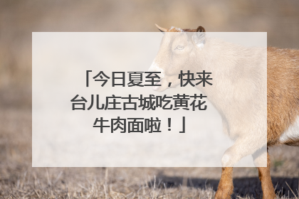 今日夏至，快来台儿庄古城吃黄花牛肉面啦！