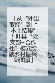 从“外出取经”到“本土结果”！叶县“党支部+合作社”模式绘就乡村振兴新图景