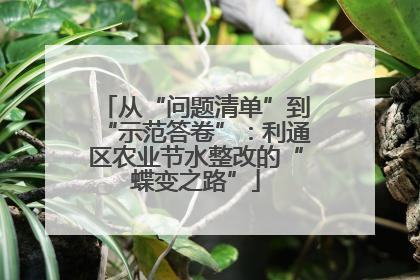 从“问题清单”到“示范答卷”：利通区农业节水整改的“蝶变之路”