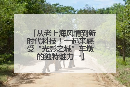 从老上海风情到新时代科技！一起来感受“光影之城”车墩的独特魅力→