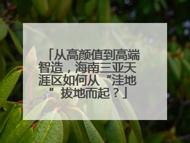 从高颜值到高端智造，海南三亚天涯区如何从“洼地”拔地而起？