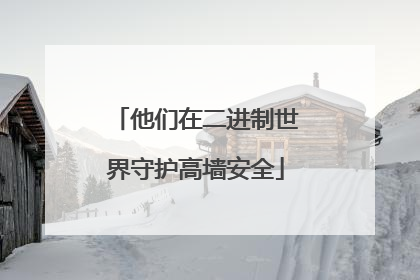 他们在二进制世界守护高墙安全