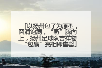以扬州包子为原型，圆润饱满，“蒸”腾向上，扬州足球队吉祥物“包赢”亮相即售罄