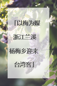以梅为媒 浙江兰溪杨梅乡迎来台湾客