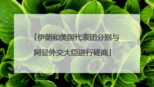伊朗和美国代表团分别与阿曼外交大臣进行磋商