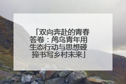 双向奔赴的青春答卷：鸬鸟青年用生态行动与思想碰撞书写乡村未来