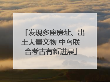 发现多座房址、出土大量文物 中乌联合考古有新进展