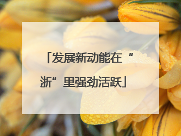 发展新动能在“浙”里强劲活跃