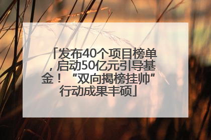 发布40个项目榜单，启动50亿元引导基金！“双向揭榜挂帅”行动成果丰硕