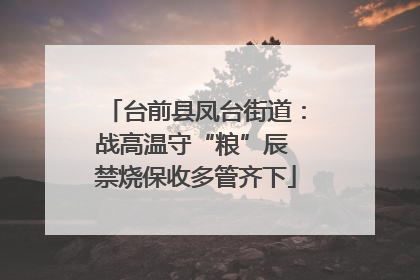 台前县凤台街道：战高温守“粮”辰 禁烧保收多管齐下
