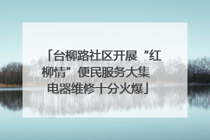 台柳路社区开展“红柳情”便民服务大集 电器维修十分火爆