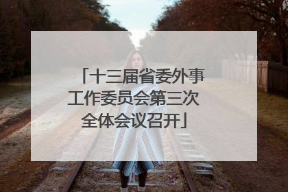 十三届省委外事工作委员会第三次全体会议召开