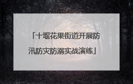 十堰花果街道开展防汛防灾防溺实战演练