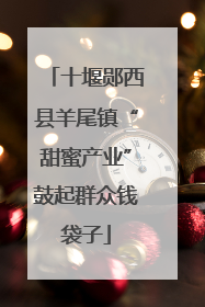 十堰郧西县羊尾镇“甜蜜产业”鼓起群众钱袋子