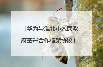 华为与淮北市人民政府签署合作框架协议