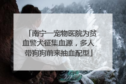 南宁一宠物医院为贫血警犬征集血源，多人带狗狗前来抽血配型