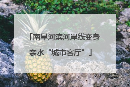南旱河滨河岸线变身亲水“城市客厅”