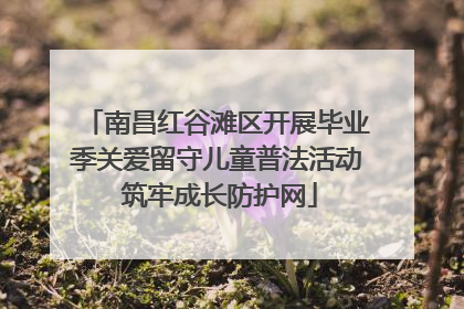 南昌红谷滩区开展毕业季关爱留守儿童普法活动 筑牢成长防护网
