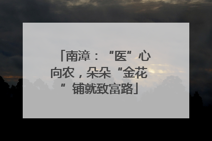 南漳：“医”心向农，朵朵“金花”铺就致富路