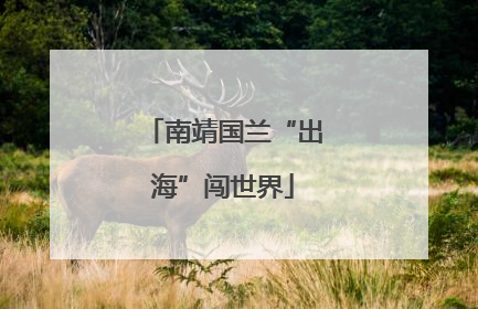 南靖国兰“出海”闯世界