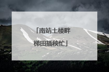 南靖土楼畔 梯田插秧忙