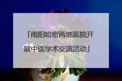 南阳哈密两地医院开展中医学术交流活动