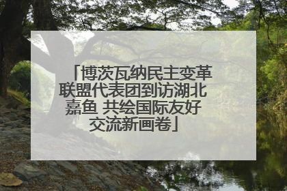 博茨瓦纳民主变革联盟代表团到访湖北嘉鱼 共绘国际友好交流新画卷