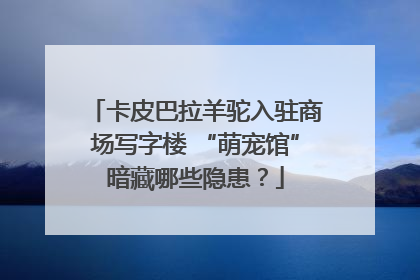卡皮巴拉羊驼入驻商场写字楼 “萌宠馆”暗藏哪些隐患？