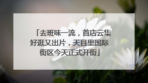 去班味一流，首店云集好逛又出片，天目里国际街区今天正式开街