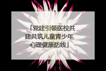 党建引领医校共建共筑儿童青少年心理健康防线