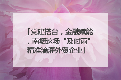 党建搭台，金融赋能，南塘这场“及时雨”精准滴灌外贸企业