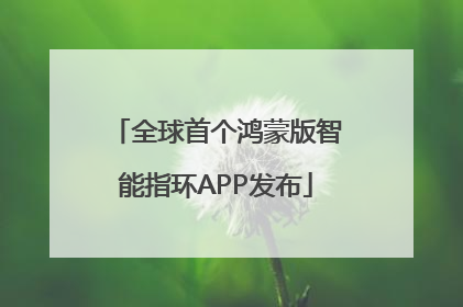 全球首个鸿蒙版智能指环APP发布